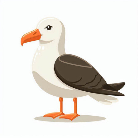 Seagull vector illustration isolated on white background. Cartoon style.のイラスト素材