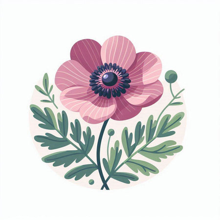 Anemone flower with leaves. Vector illustration in a flat style.のイラスト素材