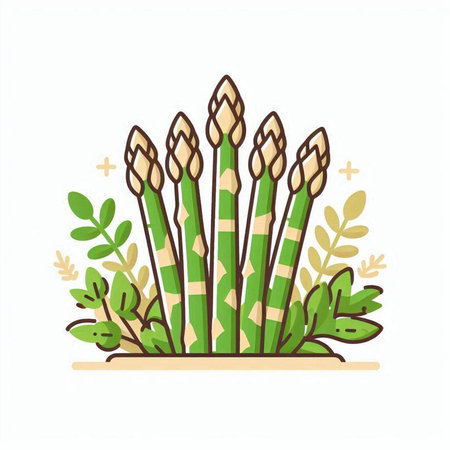 Vector illustration of a bunch of asparagus on a white background.のイラスト素材