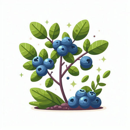 Cartoon blueberry tree isolated on white background. Vector illustration.のイラスト素材