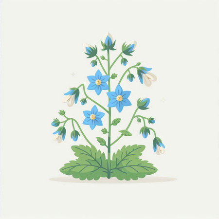 Blue flowers on a white background. Vector illustration of a plant.のイラスト素材