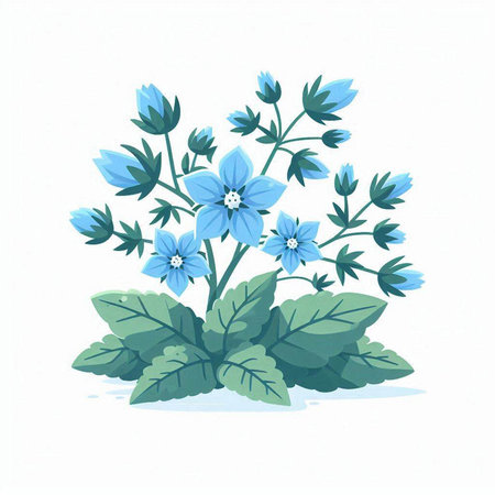 Bouquet of small blue flowers on a white background. Vector illustration.のイラスト素材