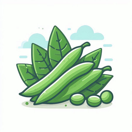 Peas with leaves isolated on white background. Vector flat illustration.のイラスト素材