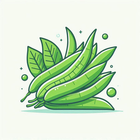 Illustration of green beans with leaves and drops, vector illustration.のイラスト素材