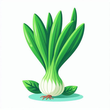 Illustration of a fresh green onion isolated on a white background.のイラスト素材