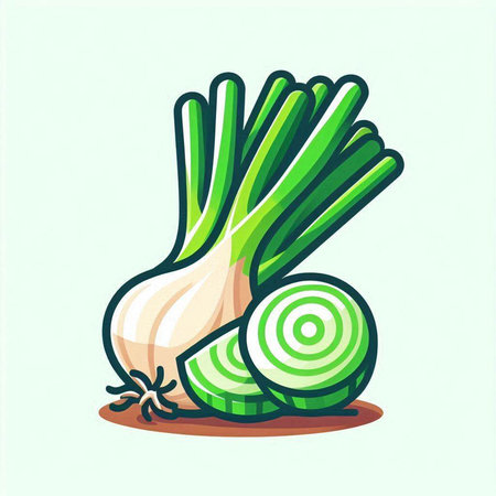 Vector illustration of fresh green onion isolated on white background. Vegetarian food.のイラスト素材