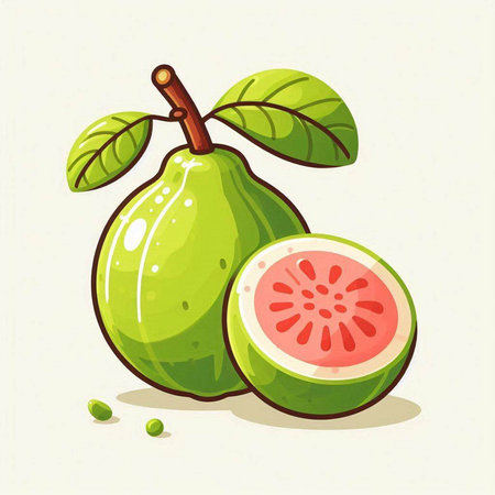 Fresh guava fruit isolated on white background. Vector illustration in cartoon style.のイラスト素材
