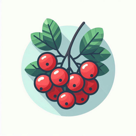 Rowan branch with berries and leaves. Vector illustration in flat styleのイラスト素材