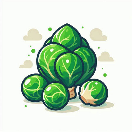 Brussels sprouts isolated on white background. Vector illustration.のイラスト素材