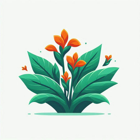 Illustration of a tropical plant with orange flowers on a white backgroundのイラスト素材