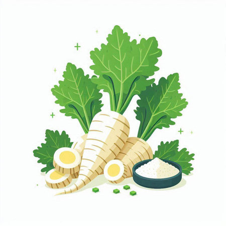 Parsnip, parsley, egg, parsley, celery, parsley, vector illustrationのイラスト素材