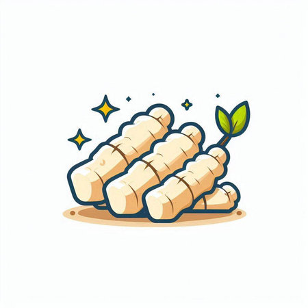 Illustration of ginger root. Isolated on a white background.のイラスト素材