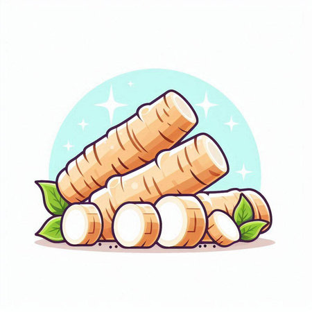 Fresh horseradish root isolated on white background. Vector illustration.のイラスト素材
