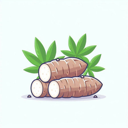 Cassava isolated on white background. Vector illustration. Eps 10.のイラスト素材
