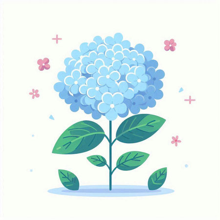 Hydrangea flower vector illustration on white background. Flat style.のイラスト素材