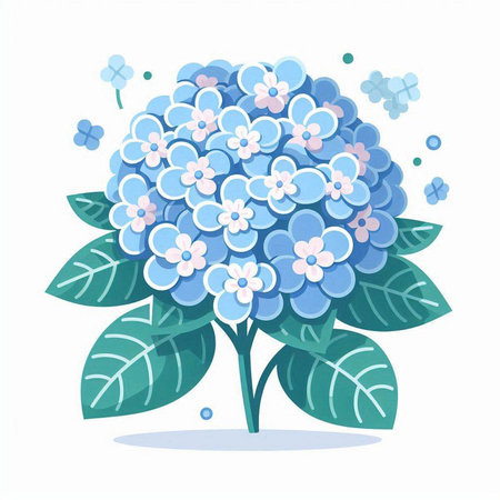 Blue hydrangea on a white background. Vector illustration.のイラスト素材