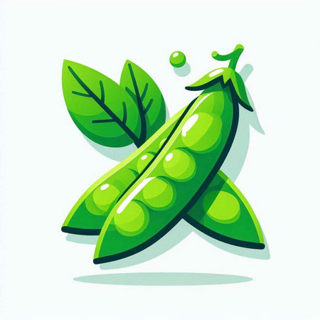 Green peas with leaves on a white background. Vector illustration, flat design.のイラスト素材