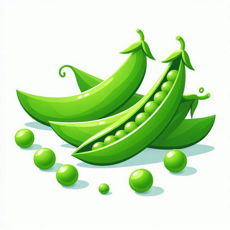 Green peas on a white background. Vector illustration for your design.のイラスト素材