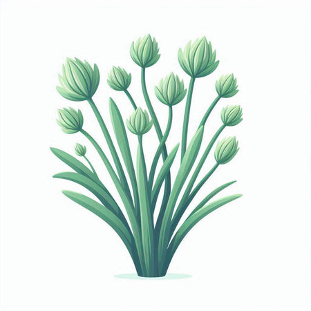 Illustration of a green grass isolated on a white background - vectorのイラスト素材