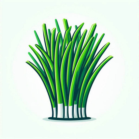 Vector illustration of fresh green onion isolated on white background. Flat style.のイラスト素材