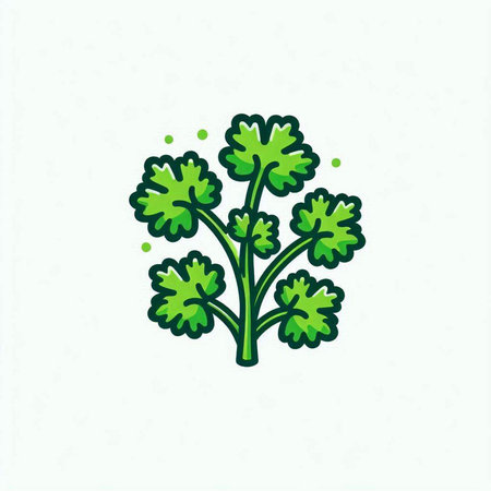 Coriander vector icon. Coriander icon. Coriander illustration.のイラスト素材