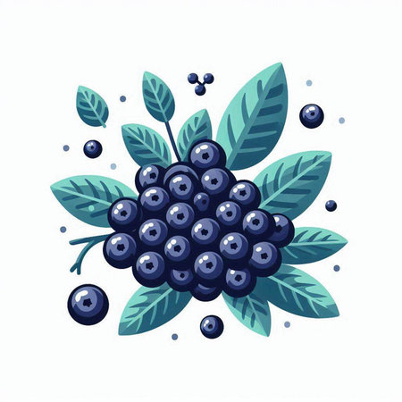 Blueberry branch with berries, leaves and berries. Vector illustration.のイラスト素材