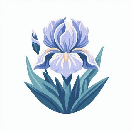 Blue iris flower isolated on a white background. Vector illustration.のイラスト素材