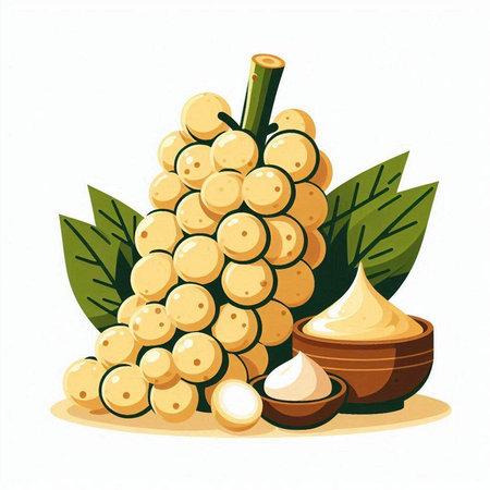 Illustration of a bunch of grapes and a bowl of cream on a white backgroundのイラスト素材
