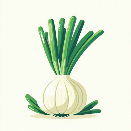 Onion. Vector illustration. Isolated on a white background.のイラスト素材