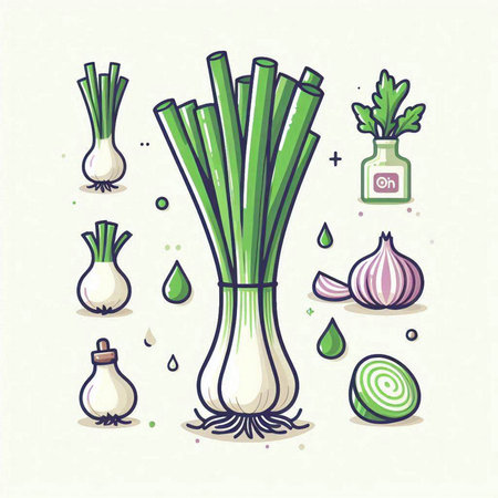 Vector illustration of a set of vegetables. Onions, garlic, parsley, onion, oil.のイラスト素材