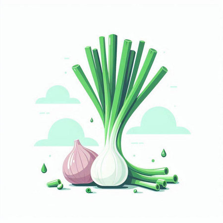 Illustration of fresh green onion on white background. Vector illustration.のイラスト素材