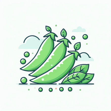 Green peas vector illustration. Green peas icon. Fresh green peas icon.のイラスト素材