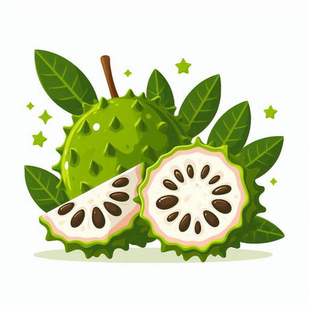 Soursop fruit with leaves isolated on white background. Vector illustration.のイラスト素材