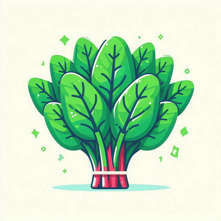 Spinach icon. Vector illustration of green leafy plant.のイラスト素材