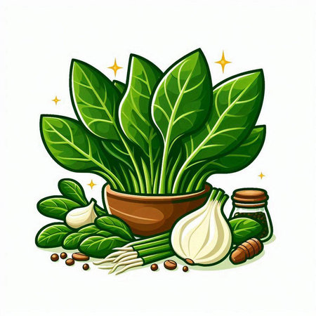 Illustration of fresh spinach leaves, garlic, onion, pepper, salt and pepperのイラスト素材