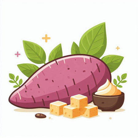Sweet potato vector illustration. Fresh sweet potato with leaves and sugar cubes.のイラスト素材