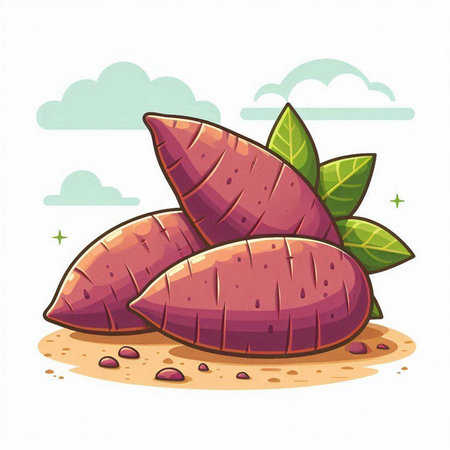 Sweet potato vector illustration isolated on white background. Sweet potato icon.のイラスト素材