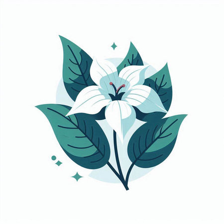 Vector illustration of white lily and green leaves on white background.のイラスト素材