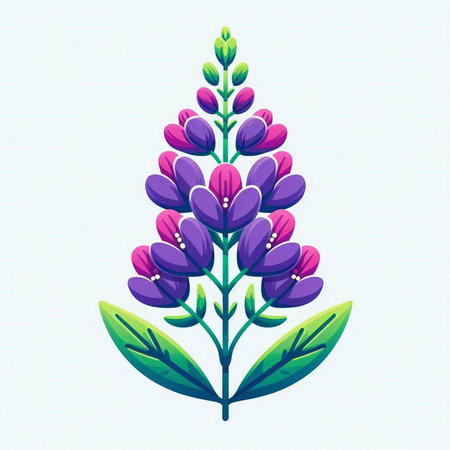Lupine flower. Vector illustration of lupine flower.のイラスト素材