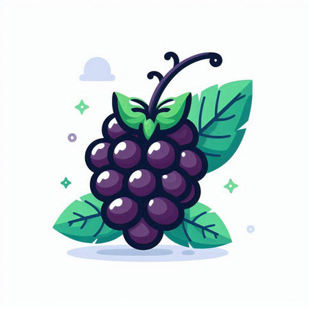 Grapes vector illustration isolated on white background. Vector illustration of blackberry.のイラスト素材