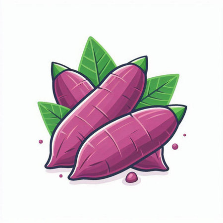 Purple sweet potato with leaves isolated on white background. Vector illustration.のイラスト素材