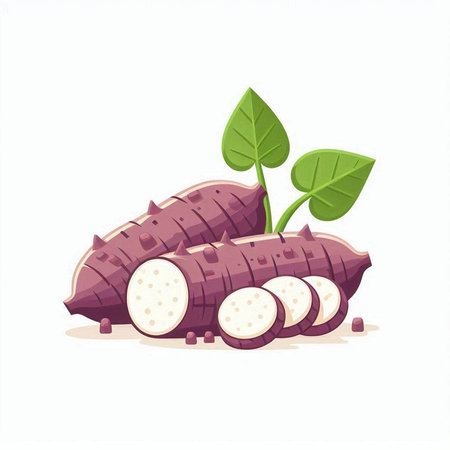 Illustration of sweet potato isolated on a white background. Vector illustration.のイラスト素材