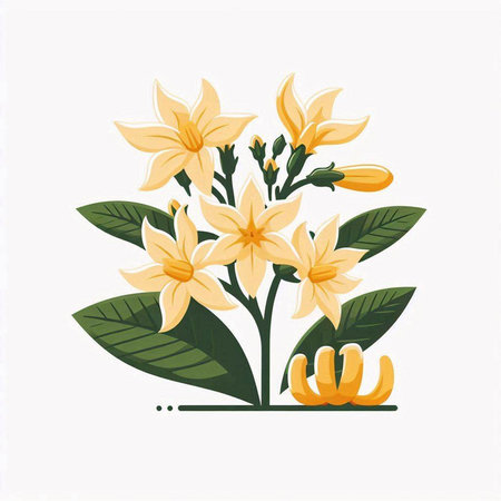 Illustration of yellow flowers on a white background. Vector illustration.のイラスト素材
