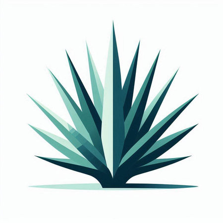Abstract blue agave plant isolated on white background. Vector illustration.のイラスト素材