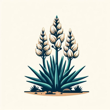 Beautiful agave plant. Vector illustration of agave plant.のイラスト素材