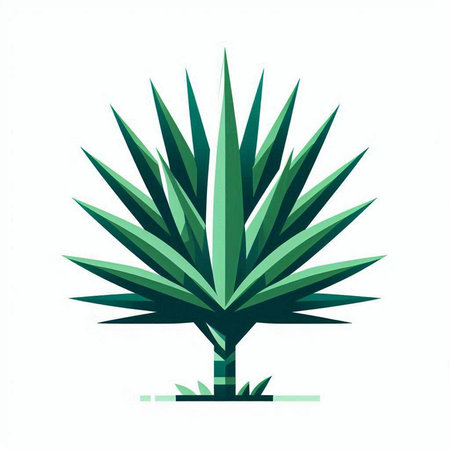 vector illustration of green aloe vera plant isolated on white backgroundのイラスト素材