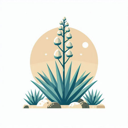 vector illustration of blue agave plant on white background with moonlightのイラスト素材