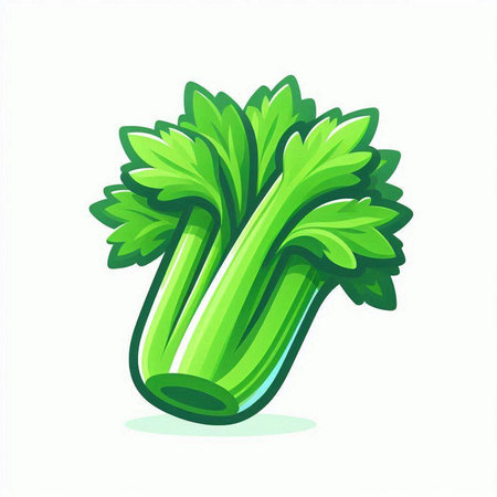 Celery icon. Vector illustration of celery isolated on white background.のイラスト素材