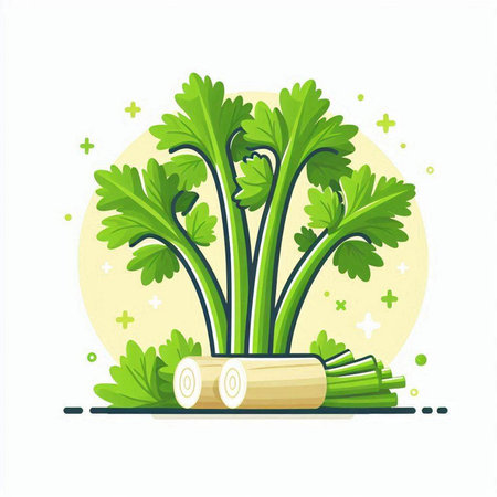 Fresh parsley vector illustration isolated on white background. Fresh green parsley vegetable.のイラスト素材