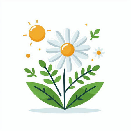 Daisy flower with leaves and sun. Vector illustration in flat style.のイラスト素材
